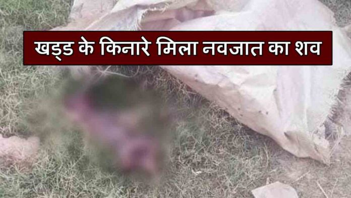 Newborn baby dead body found Damtal Kangra
