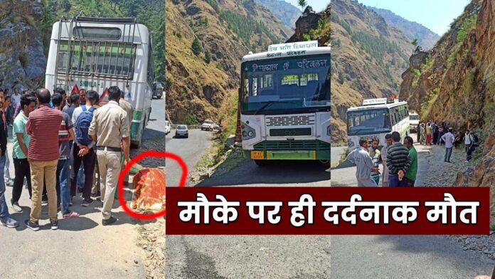 HRTC bus painful accident in Chopal sub-division of Shimla