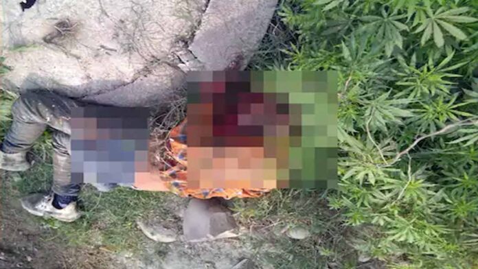 dead body of a youth found in the forest in Kangra
