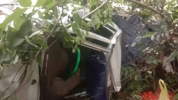 Pickup laden with tomatoes that fell into the ditch