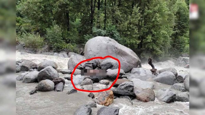 Beas river Manali Himachal Pradesh