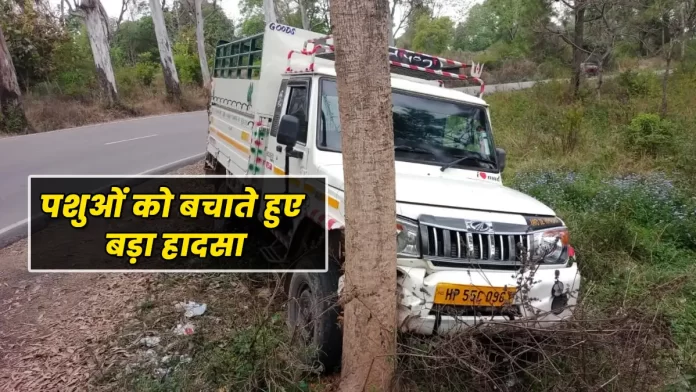 Pickup accident near Bhatta Panchwati of Nadaun Hamirpur