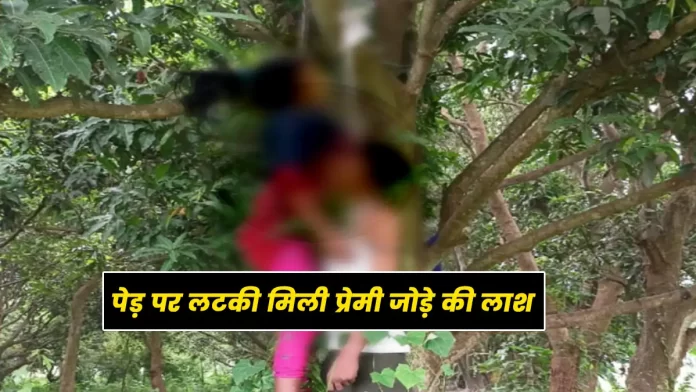 Dead body of lover couple found hanging on tree