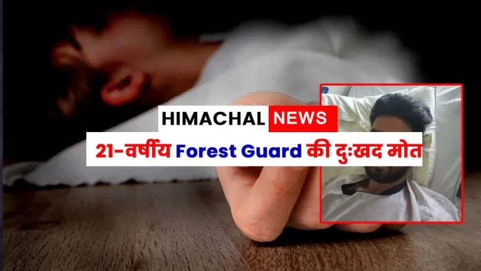 Forest Guard Jatin Rangra Hamirpur Himachal