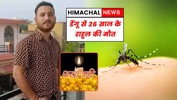 Rahul died due to dengue Nahan Paonta Sahib Sirmaur