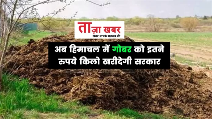 Himachal government buy cow dung