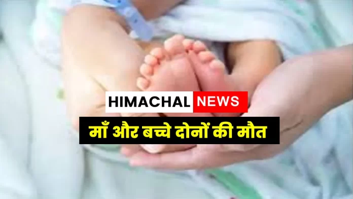 Pregnant woman fell while working Chamba Himachal