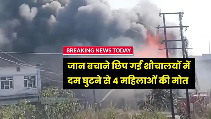 perfume factory in Jharmajri Solan Himachal